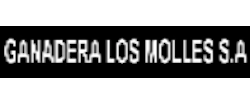 Cliente