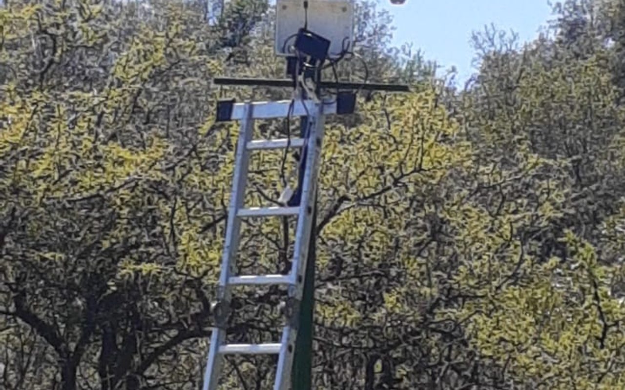 Despliegue de red WiFi profesional con relevamiento de señal — Enlace punto a punto y cámaras sobre mástil en zona rural
